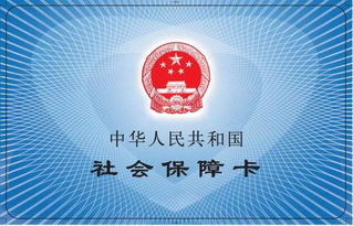 便民減負新舉措 入職體檢、養(yǎng)犬服務費等11項收費項目正式取消
