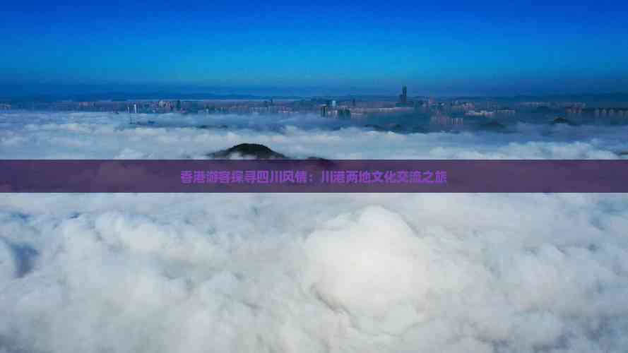 游客探尋四川風(fēng)情 川港兩地文化交流之旅